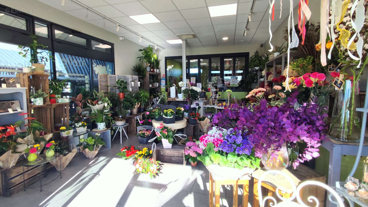 Commerce à BRIZAMBOURG