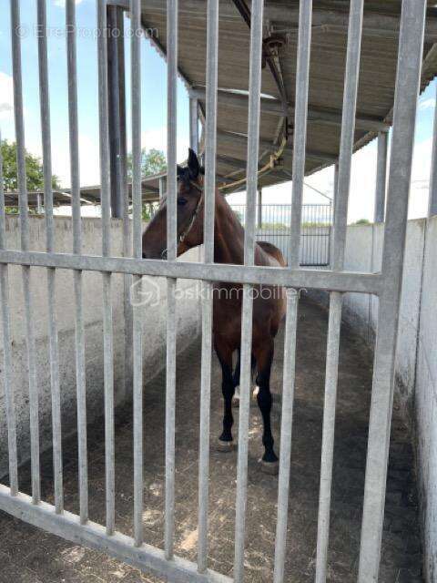 Maison à FONTENAY-TRESIGNY