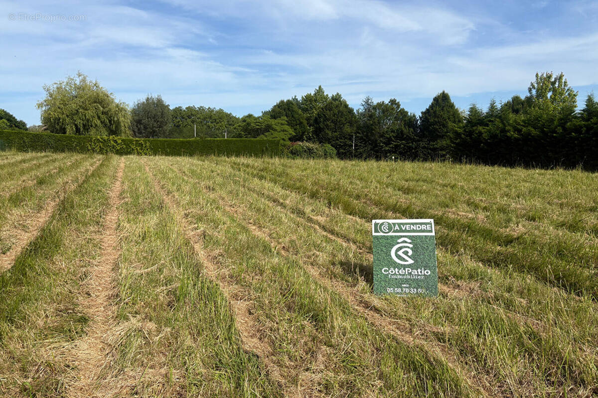 Terrain à BRASSEMPOUY