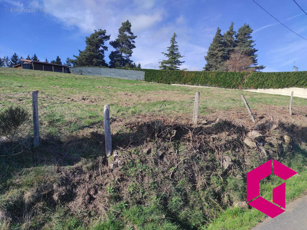 Terrain à SOLIGNAC-SOUS-ROCHE