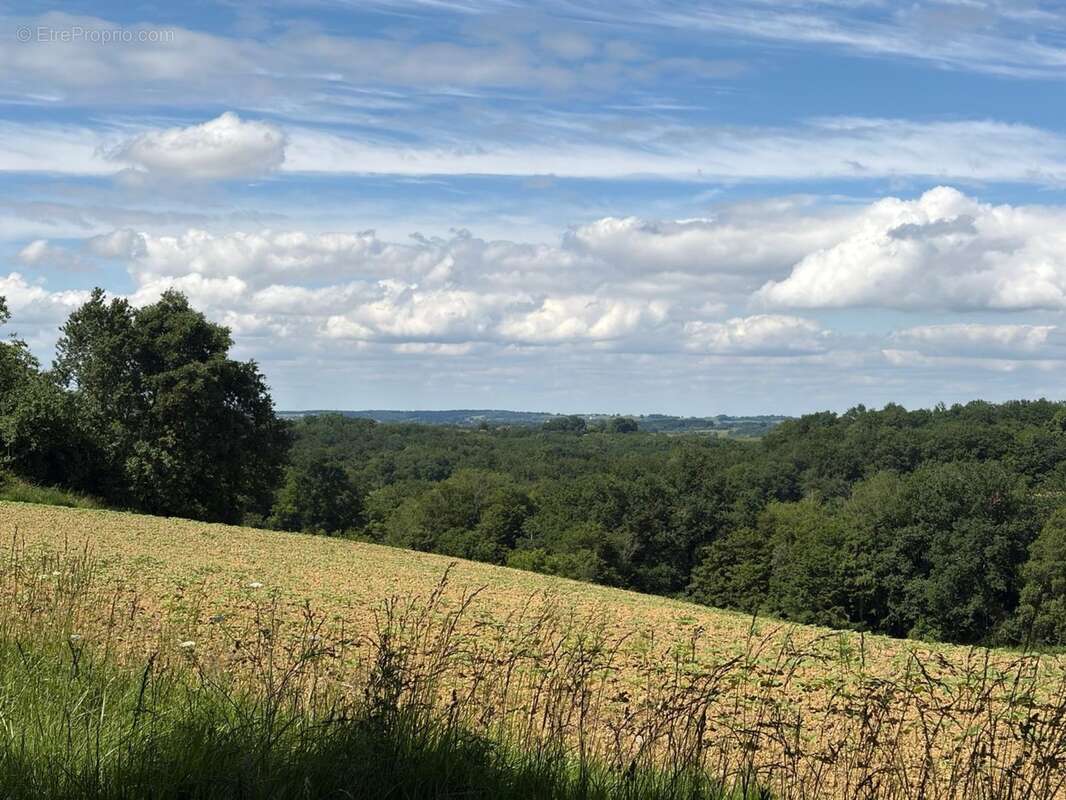 PLAISANCE (32); AUTHENTIQUE MAISON GASCONNE 300M2 dans son jus, un peu cachée, 1HA grandes dependances - photo 22