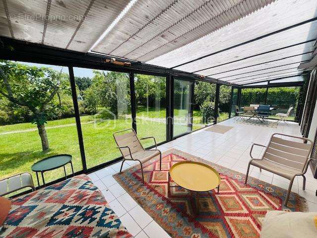 Maison à ILE-D&#039;ARZ