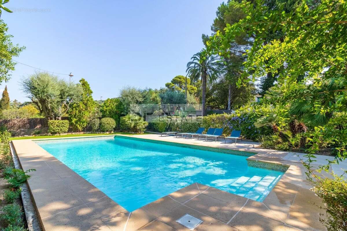 Cannes – basse californie - photo 2