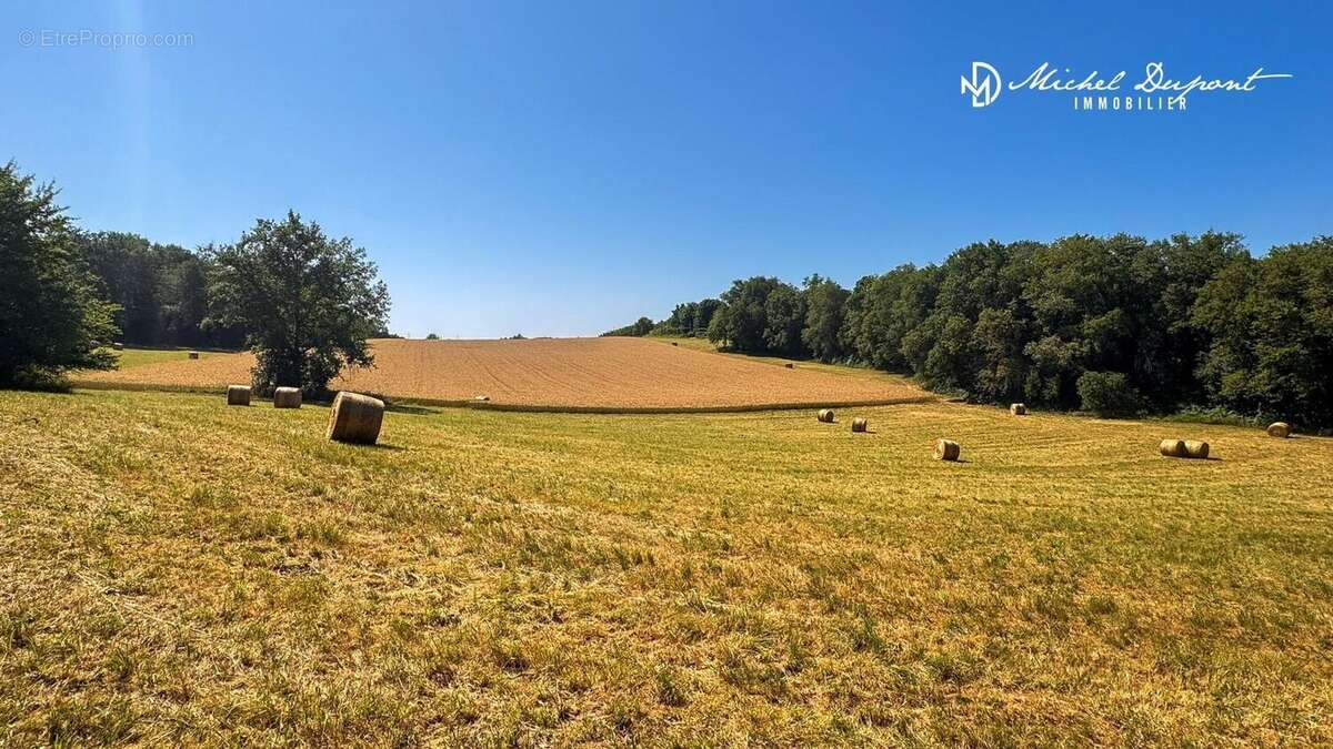 Photo 3 - Terrain à LIMEUIL