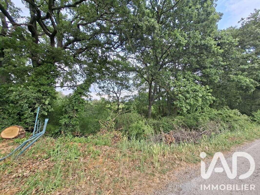 Terrain 4030 m² à Venasque  - photo 2