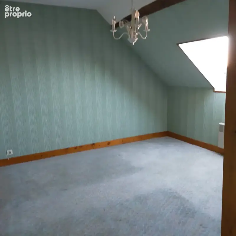 Maison 6 pièces 130 m² à vendre à Sainte-Severe-Sur-Indre (36160) - photo 44