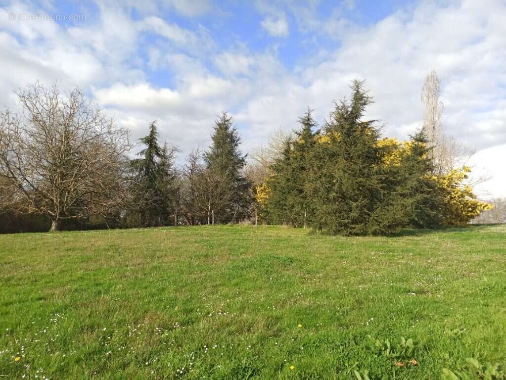 A vendre | Maison et terres | Laujuzan (Gers - 32) - Maison à LAUJUZAN