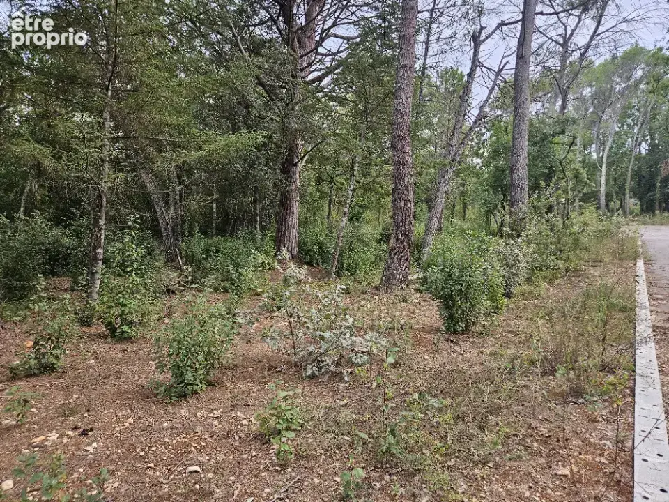 Terrain 1545 m² à Tourrettes  - photo 4