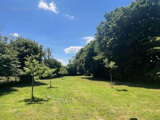 Maison 72 m² à Tordouet  - photo 9