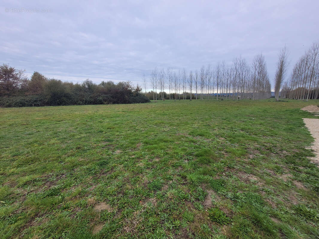 Terrain à BEAUPUY