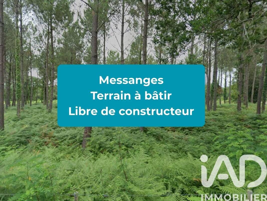 Photo 1 - Terrain à MESSANGES