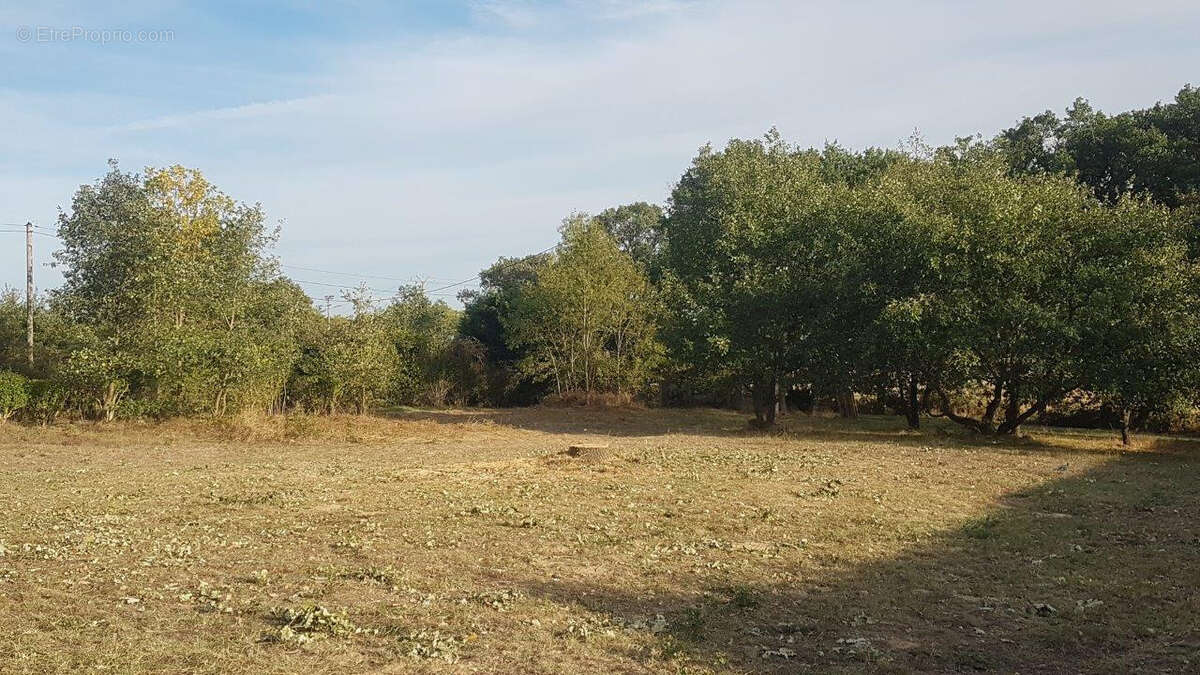 Terrain à PLAISANCE-DU-TOUCH