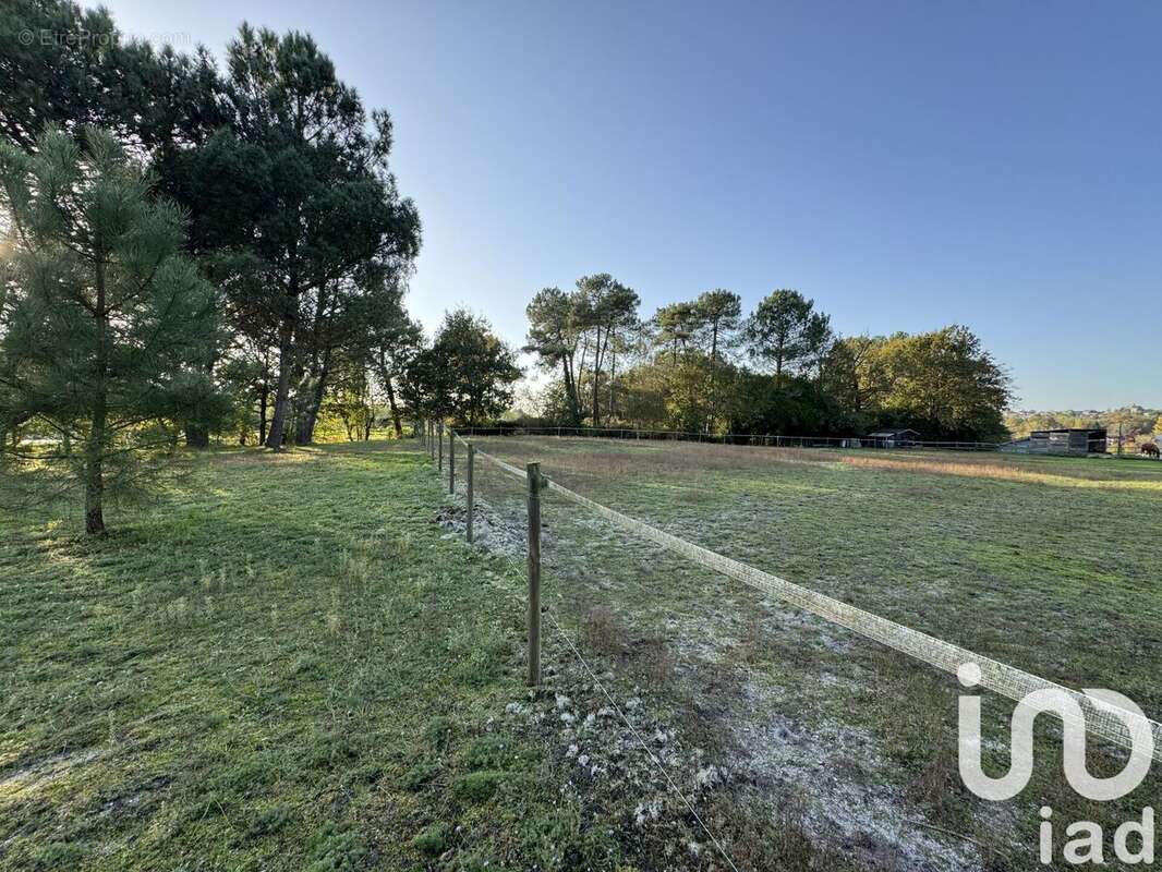 Photo 3 - Terrain à MONTENDRE