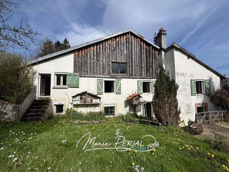 Ancien moulin vosgien du XVIIe siècle – 172 m² habitables – Fort potentiel – Cadre naturel exceptionnel - Herpelmont (88600) - photo 15