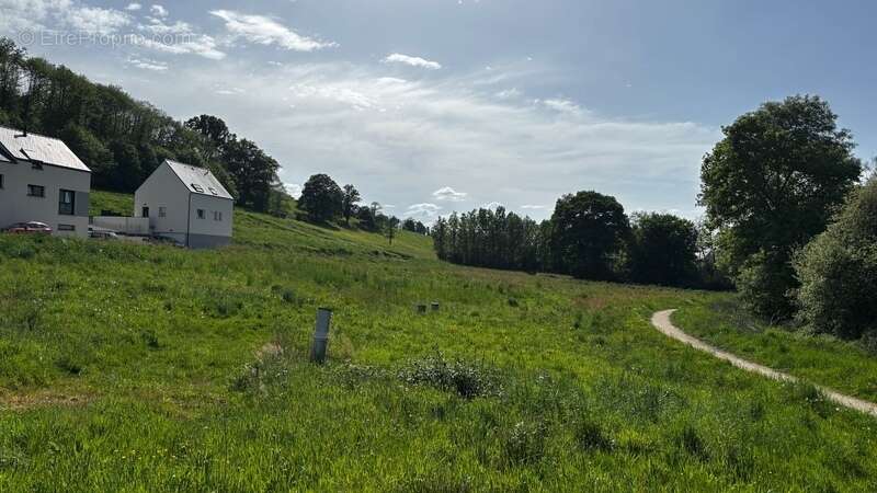 Terrain à MONTREUIL-SOUS-PEROUSE