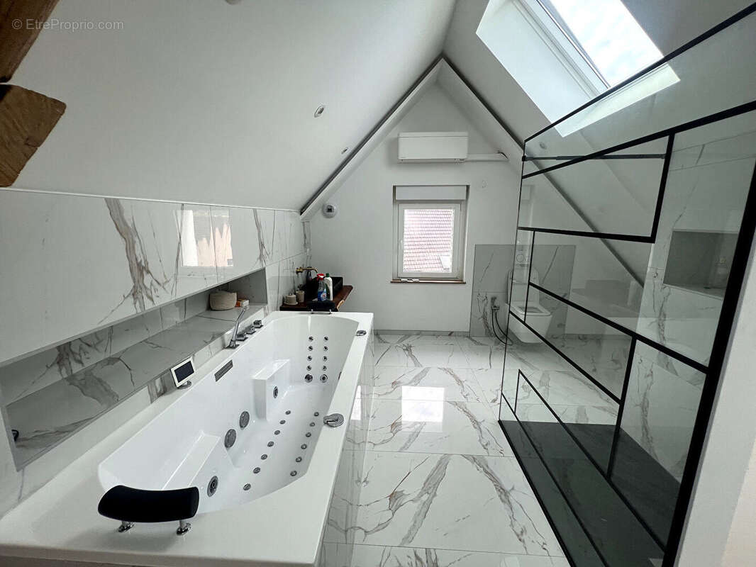 Maison 236 m² à Illzach  - photo 13