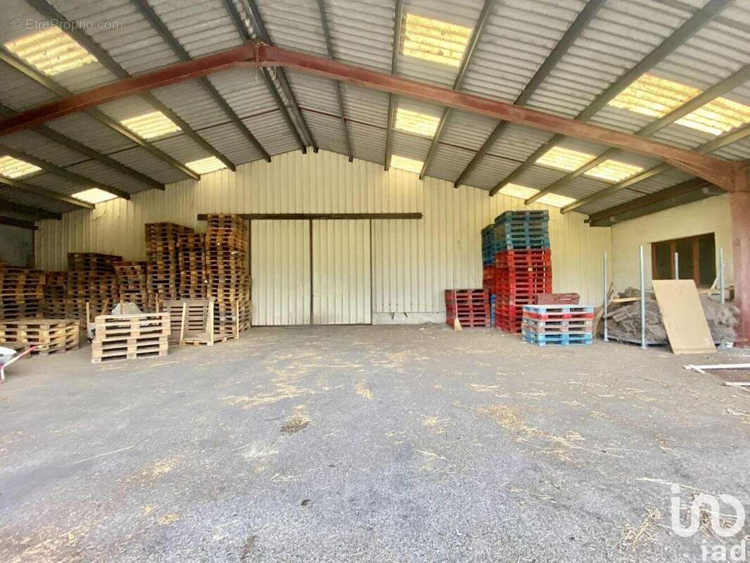 Photo 3 - Commerce à NERAC