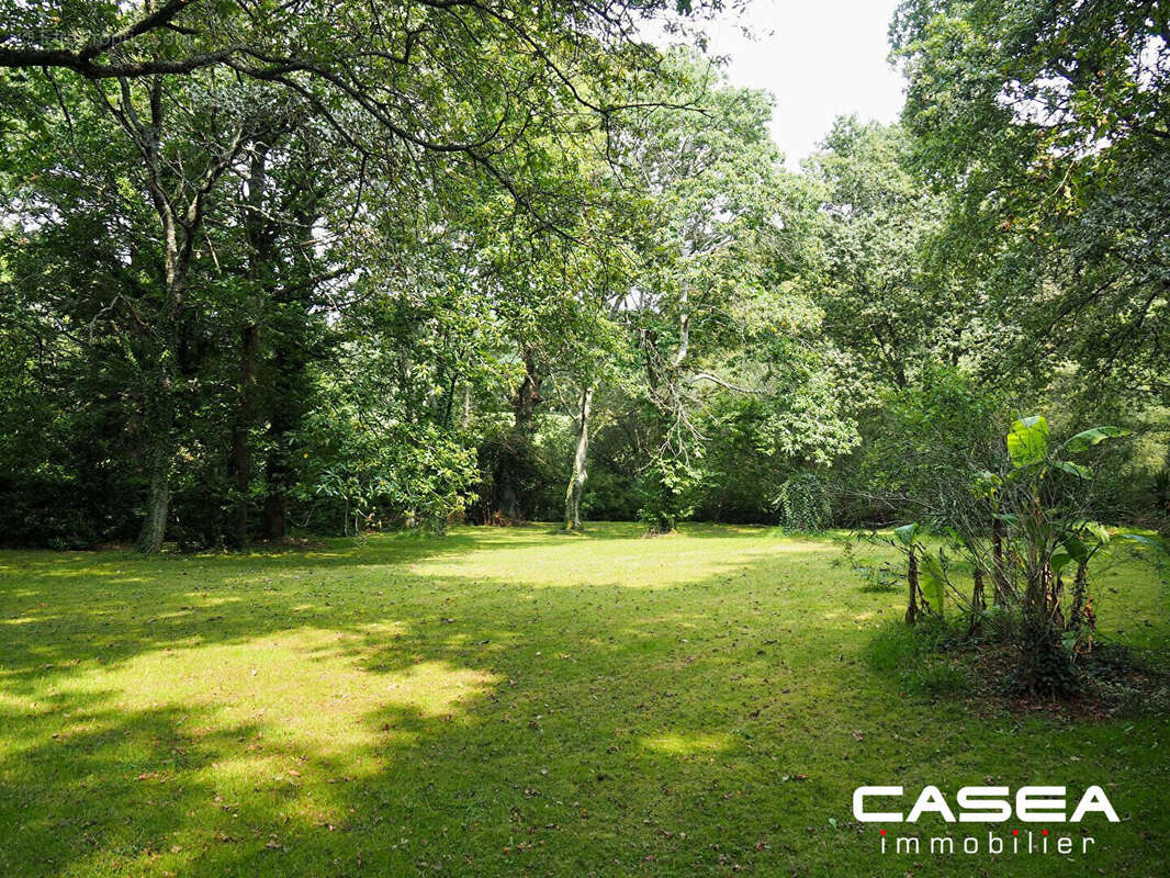 Terrain à FOUESNANT