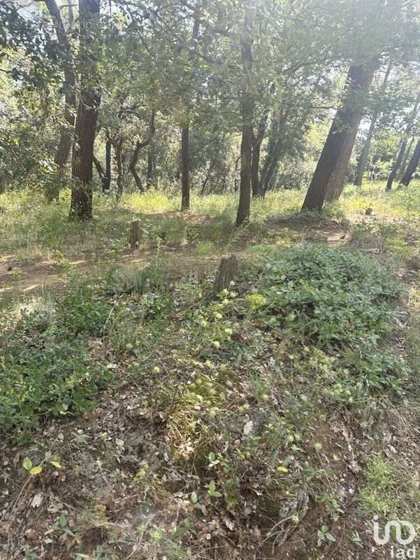 Photo 5 - Terrain à SUZE-LA-ROUSSE