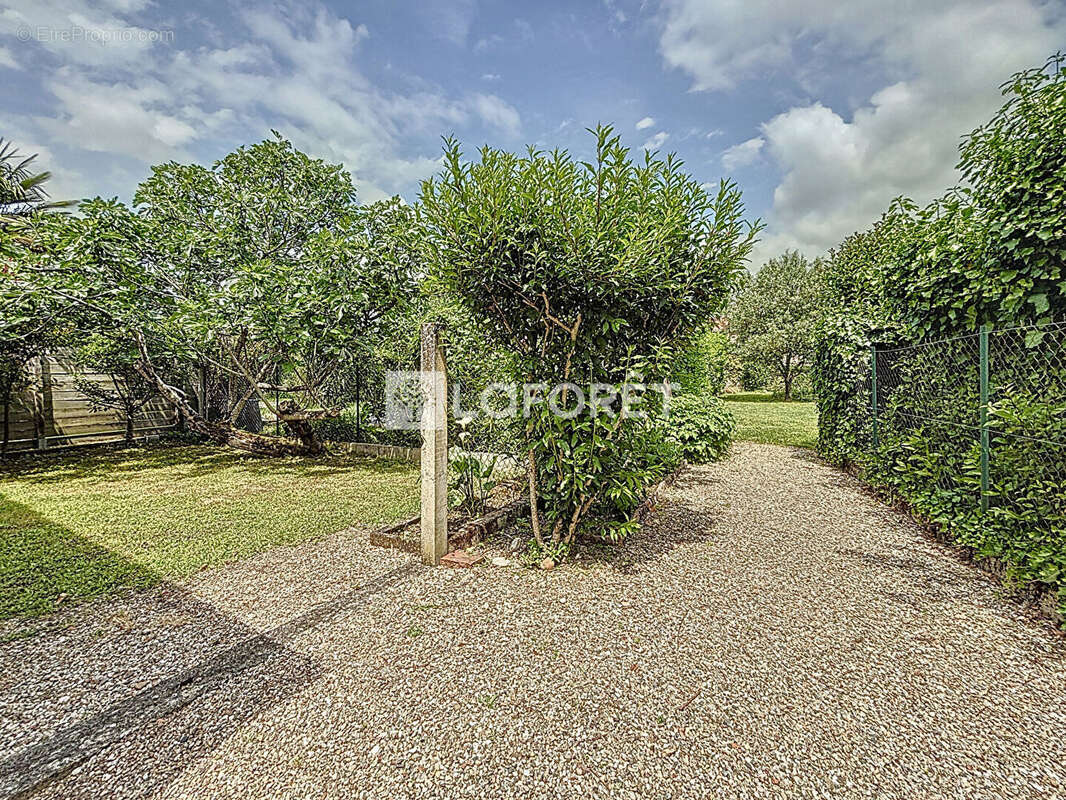 Maison à MIREPOIX-SUR-TARN