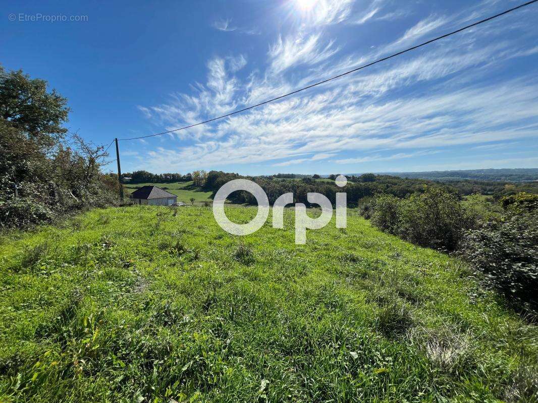 Terrain À Vendre sur les hauteurs d'Allassac - photo 2