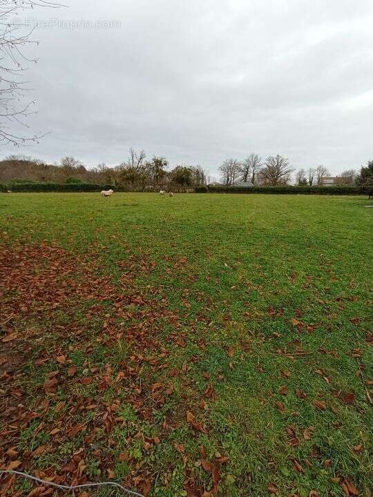 Terrain à LE MAYET-DE-MONTAGNE