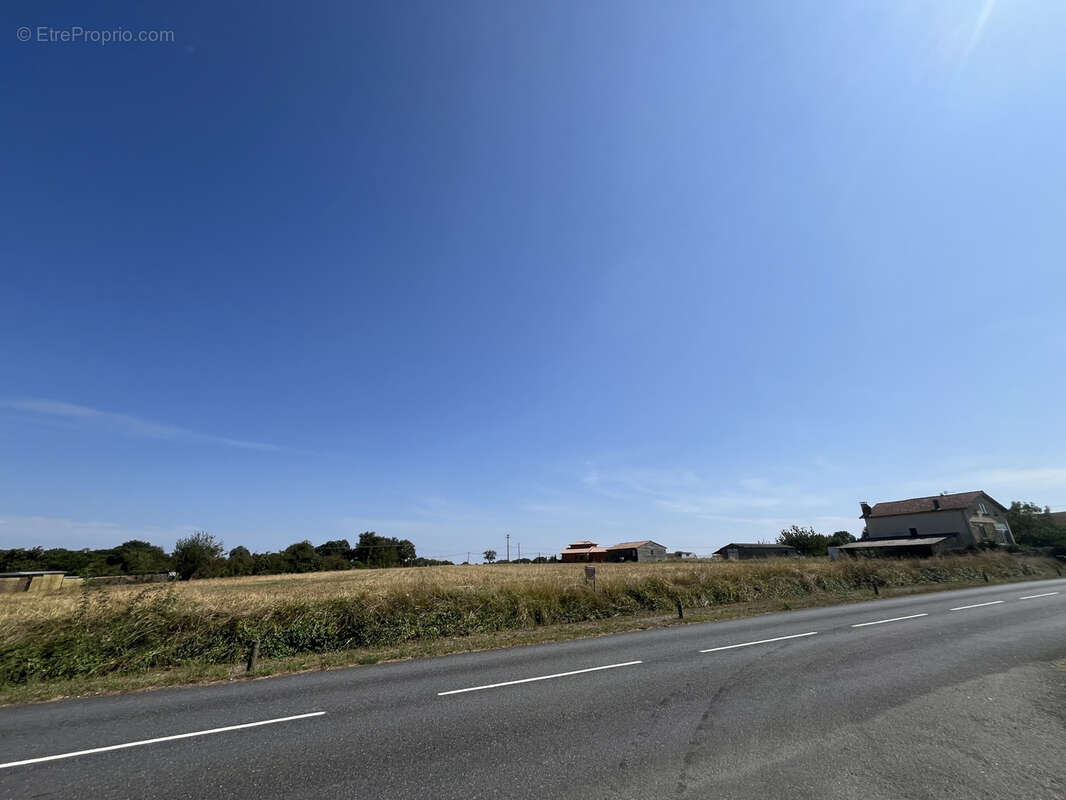 15362 m2 Terrain d'1.5 hectare à vendre à Almayrac, à 20KM d’Albi dans le Tarn (81) - photo 6