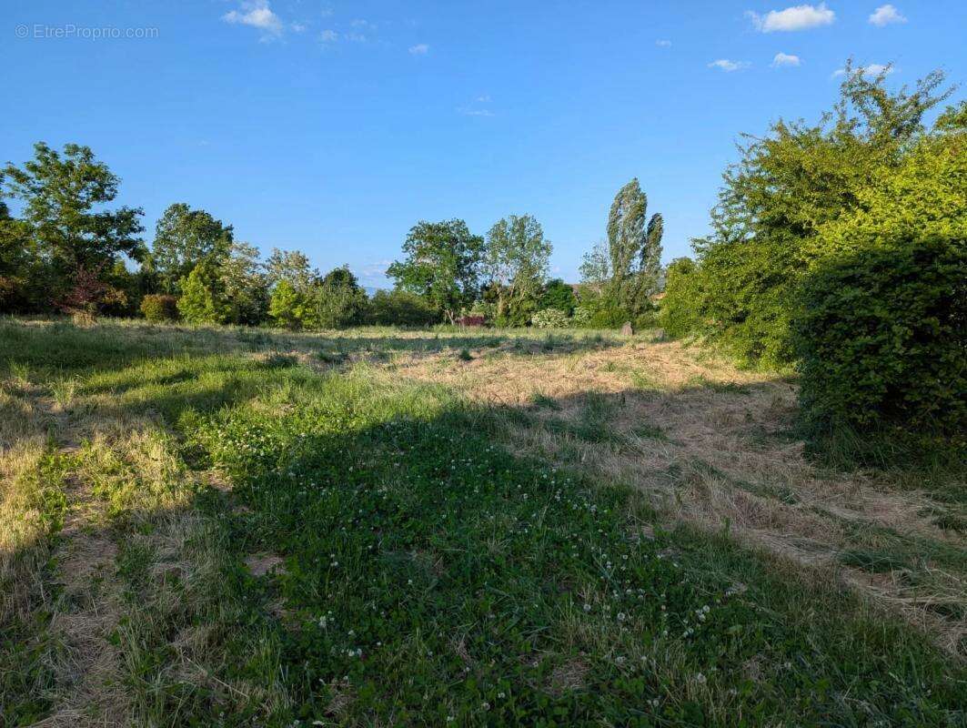 Terrain à MONTBRISON