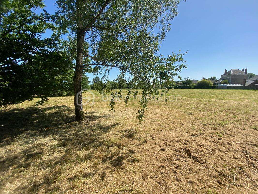 Terrain constructible 1216 m² à AUTHON ( moins de 10 min de CHATEAU-RENAULT ) - photo 8