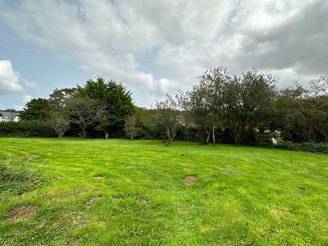 Terrain à SAINT-URBAIN