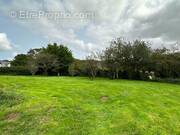 Terrain à SAINT-URBAIN