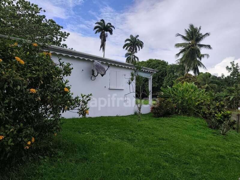 Maison à SAINTE-ROSE