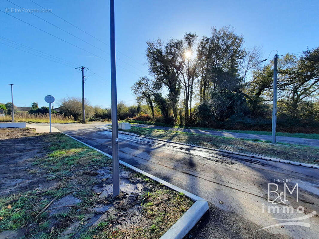 Terrain à SAINT-VINCENT-DE-TYROSSE
