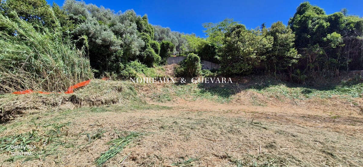 Terrain à VALLAURIS