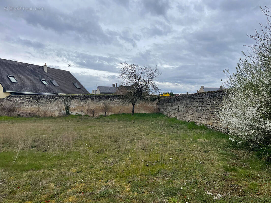 Terrain à DOUE-LA-FONTAINE