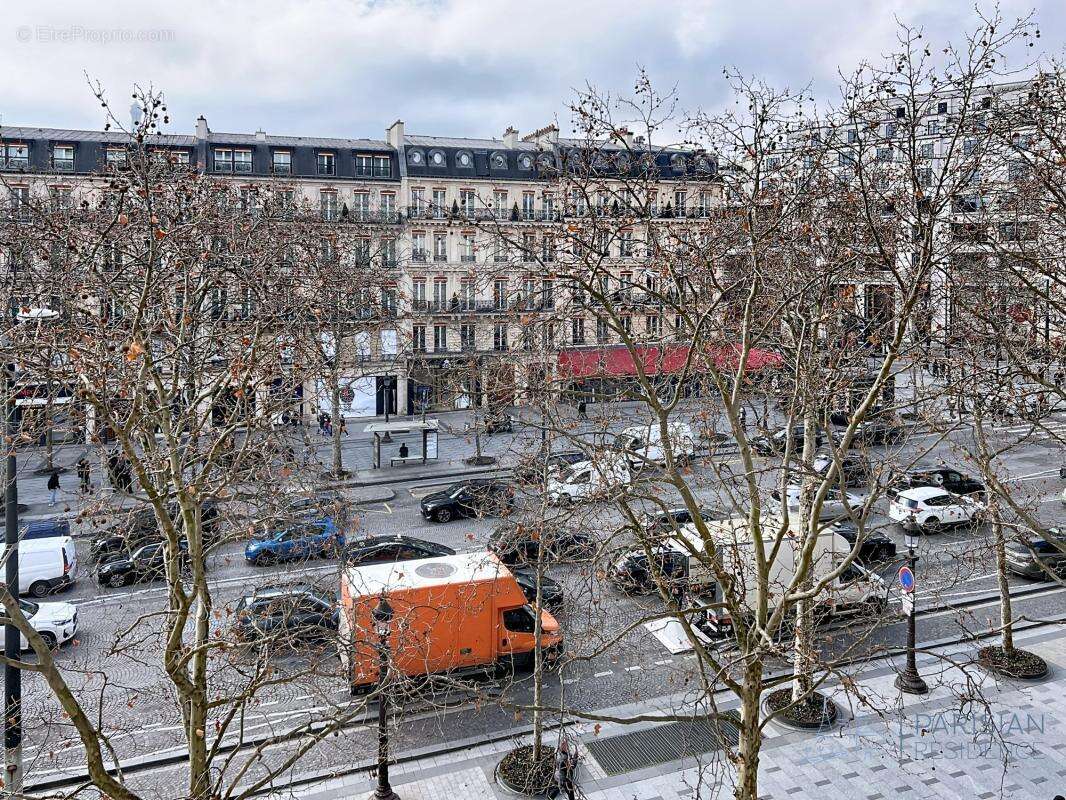 Commerce à PARIS-8E