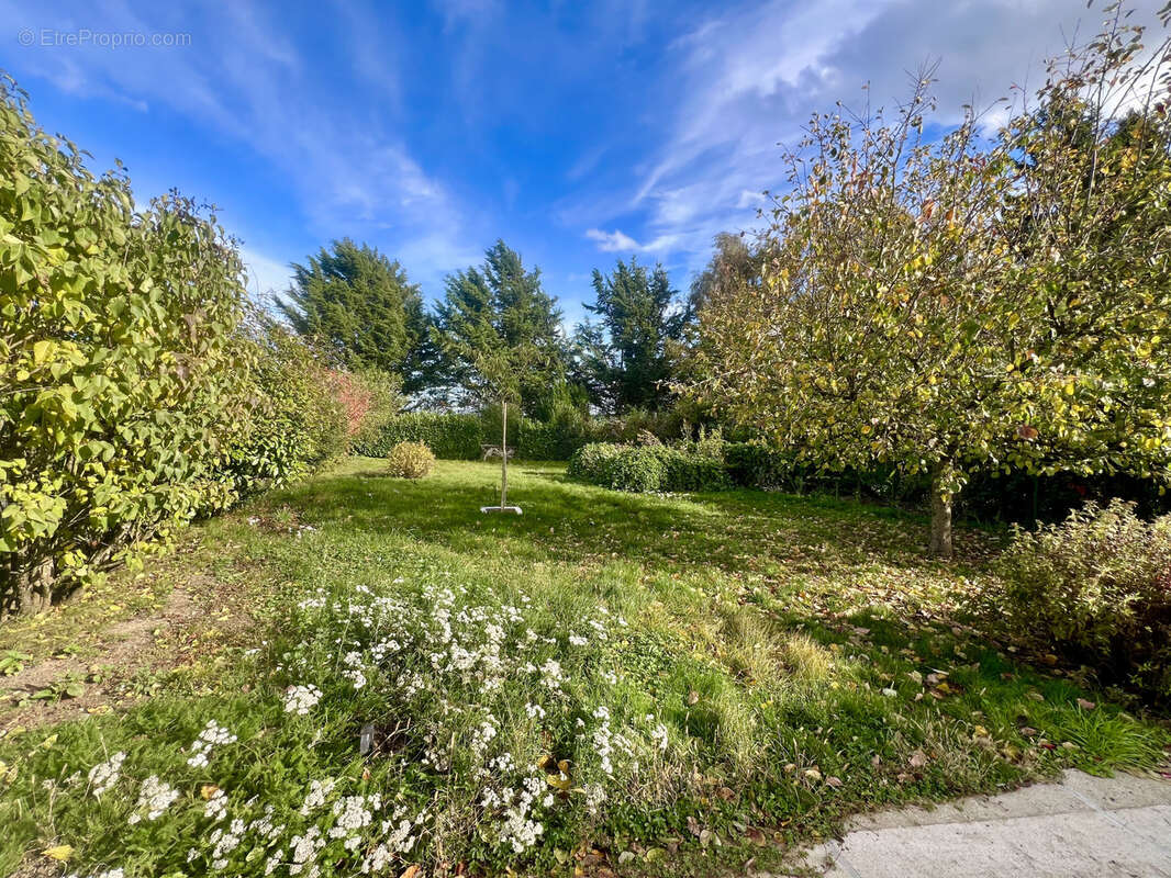 Maison à LOUAN-VILLEGRUIS-FONTAINE