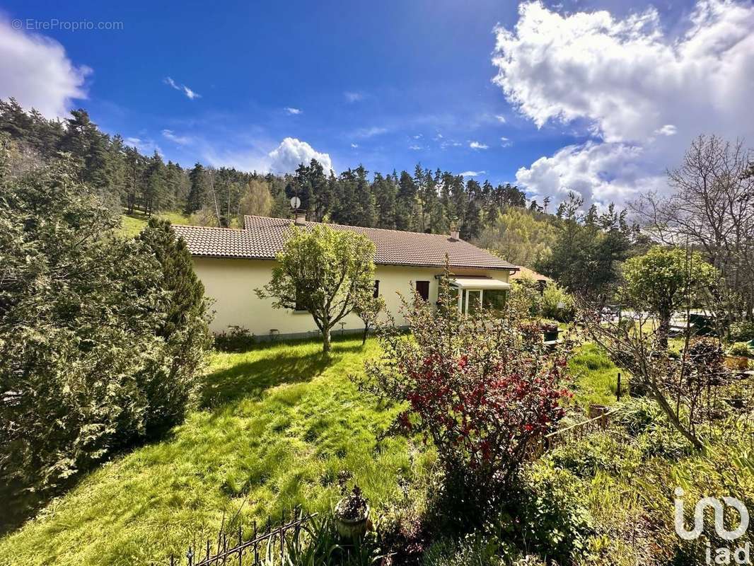 Photo 7 - Commerce à SAINT-GEORGES