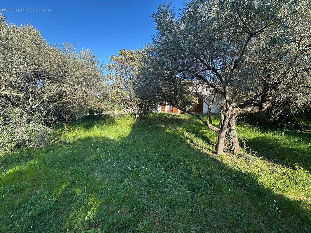 Maison à MONTAUROUX