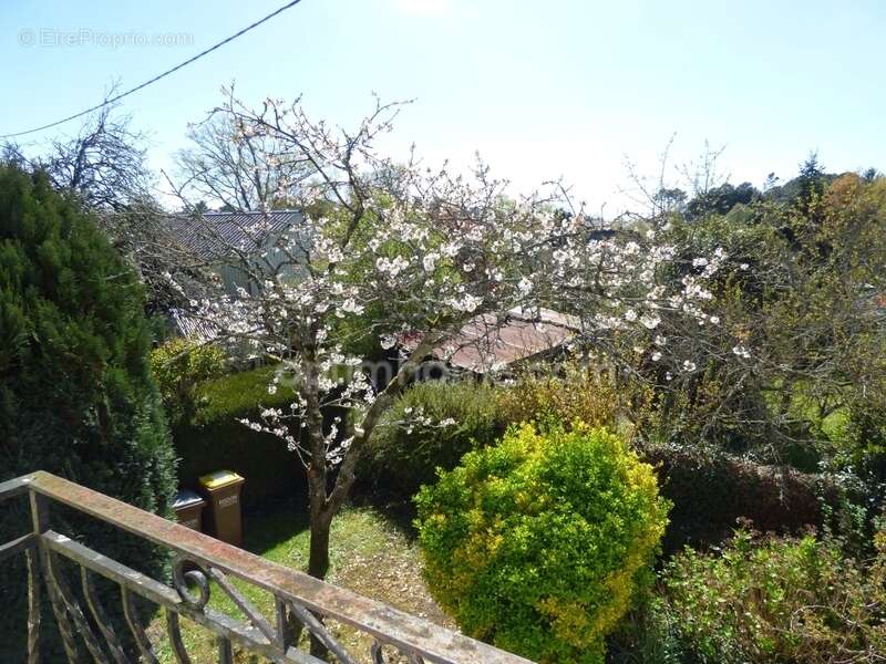 Maison à SAINT-NICOLAS-DE-REDON