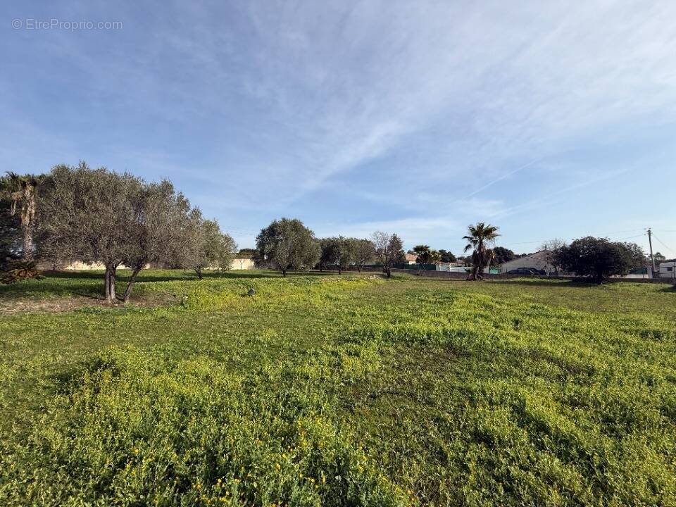 Terrain à ROQUEBRUNE-SUR-ARGENS