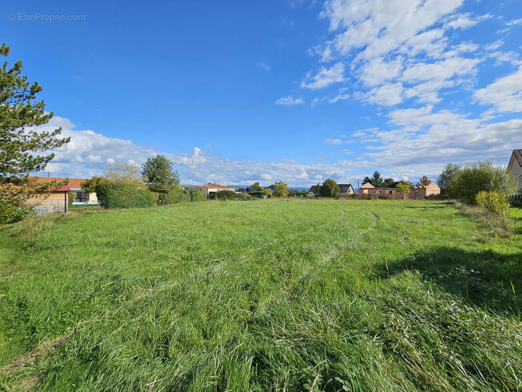 Terrain à SERBANNES