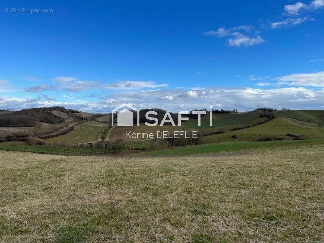 Photo 3 - Terrain à RIEUMES