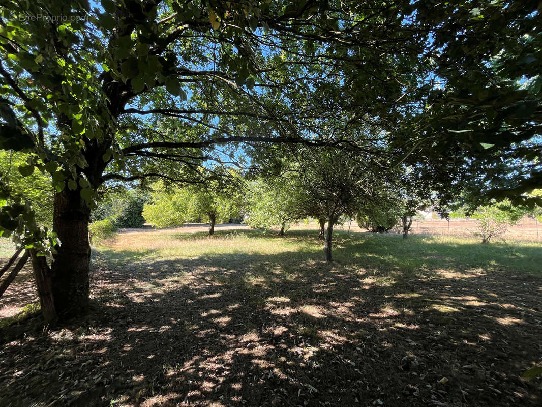 Ferme sept chambres - photo 2
