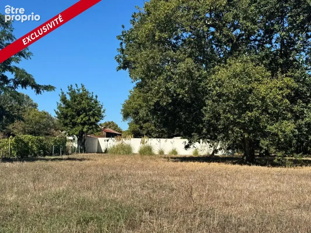 Dolus d'oleron - terrain à bâtir de 1058 m² – beau potentiel de construction - photo 5