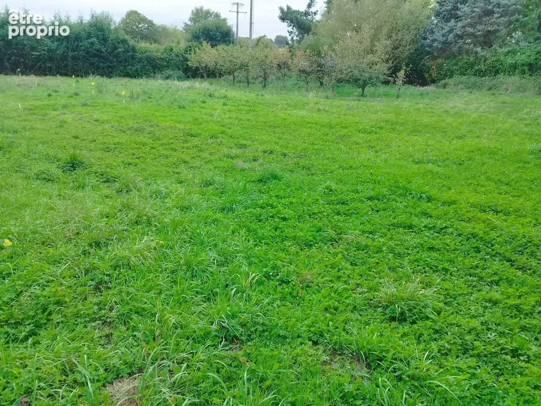 Terrain à bâtir de 543 m² à LA MEIGNANNE (49) - photo 2