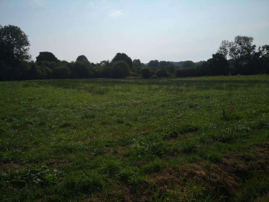 Découvrez ce joli corps de ferme isolé offrant un cadre exceptionnel et un potentiel rare, implanté sur 7,5 hectares de terrains - photo 11