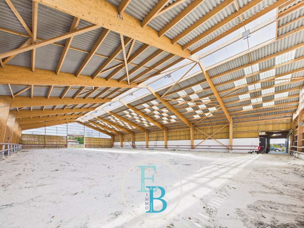 Grangues (pays d'auge) - centre d'entrainement et de reeducation equin avec balneotherapie - photo 5