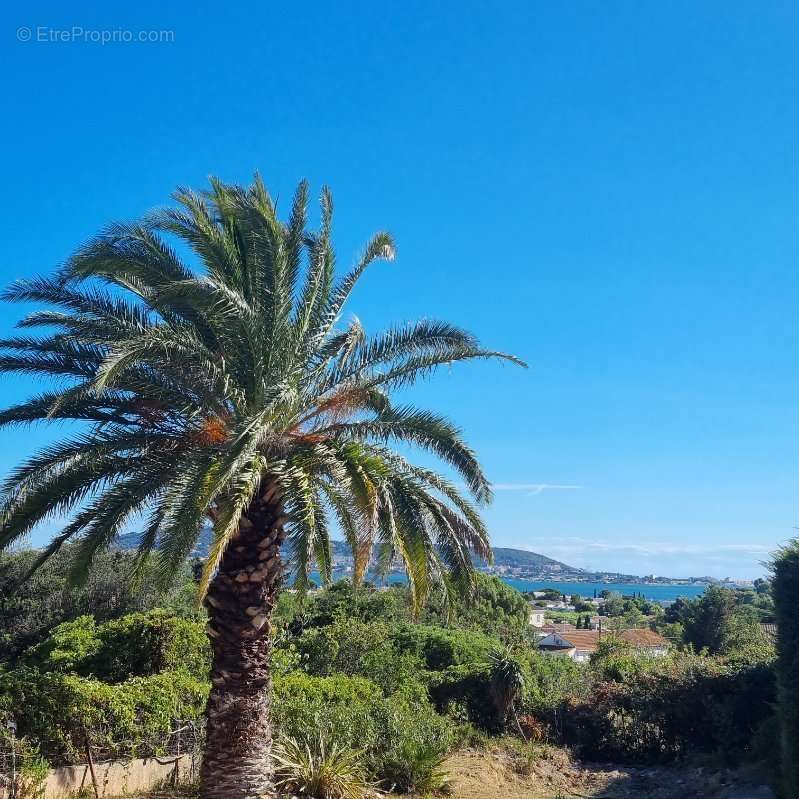 Terrain à BALARUC-LES-BAINS
