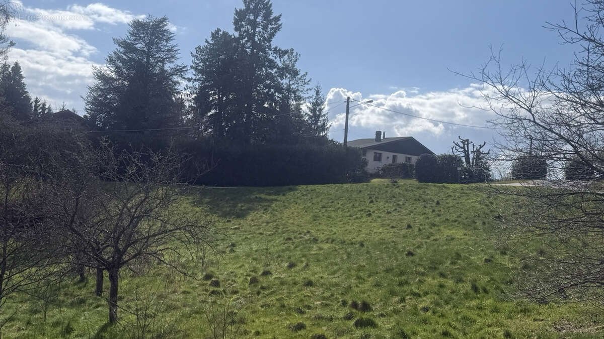 Terrain à NAYEMONT-LES-FOSSES